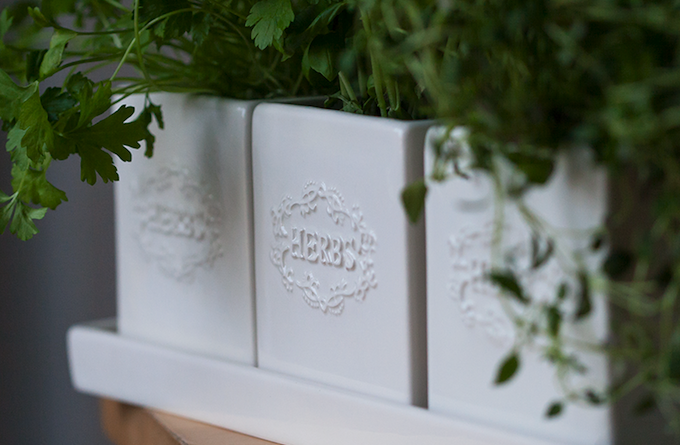Growing Your Own Herbs