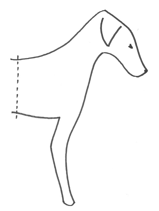 dog template 620 1