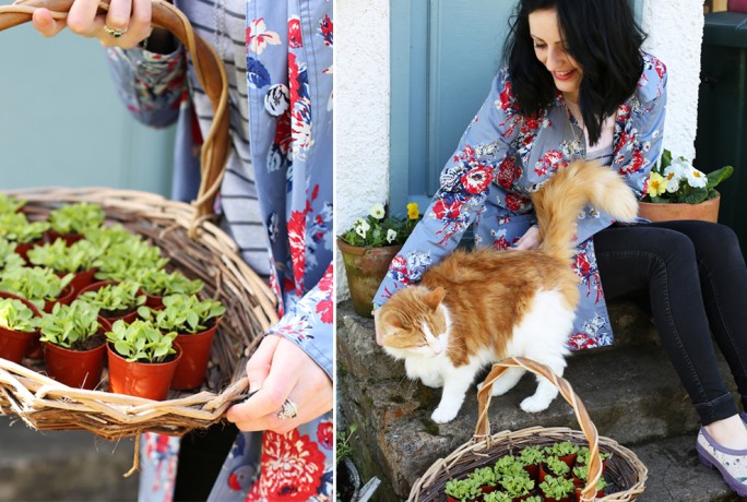 Messyla Outdoor Accessories & Fashion