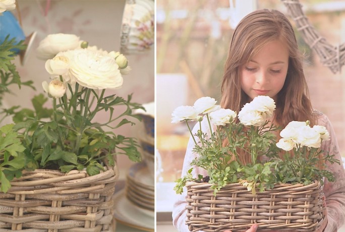 The Vintage Good Life Planting For Small Spaces