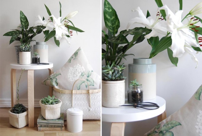 Cate St Hill Urban Planting Home Accessories