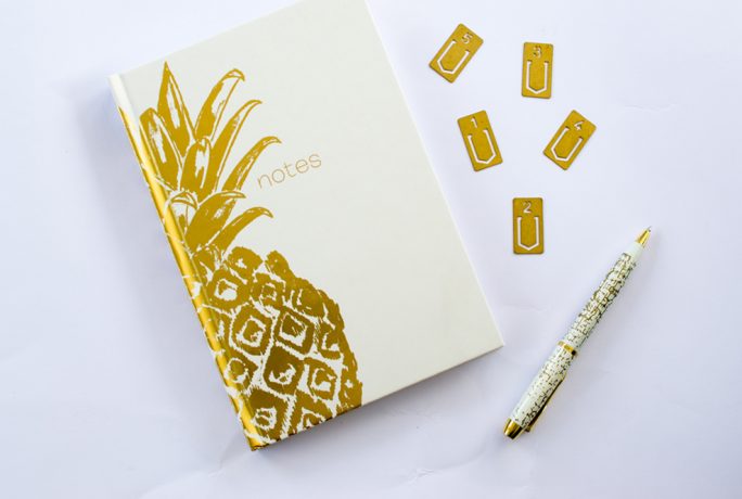 N4 Mummy Pineapple Stationery