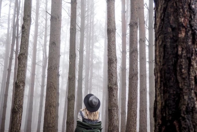 The Woodland Wife Laura Ashley Blogger Crush